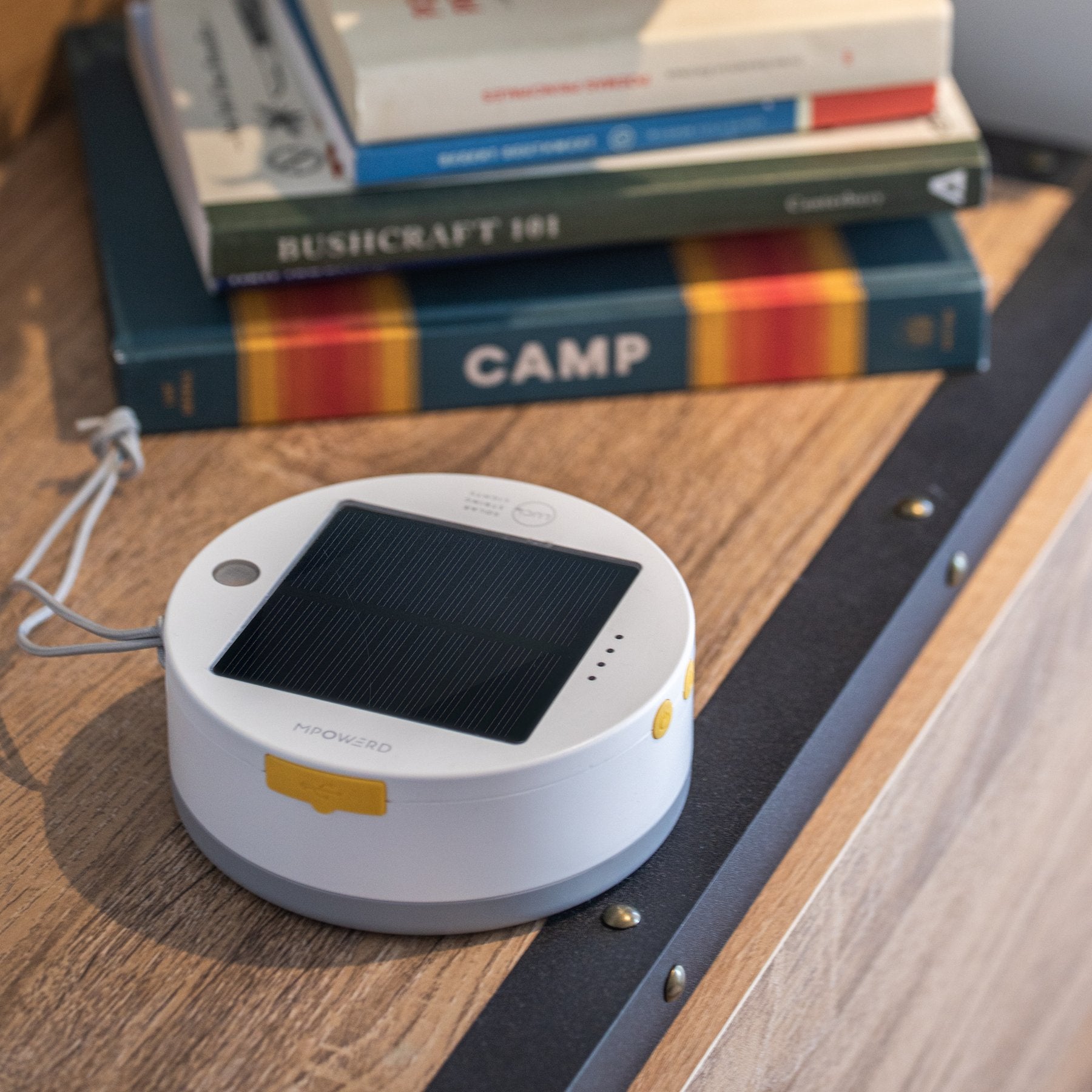 Luci Color Solar String Lights